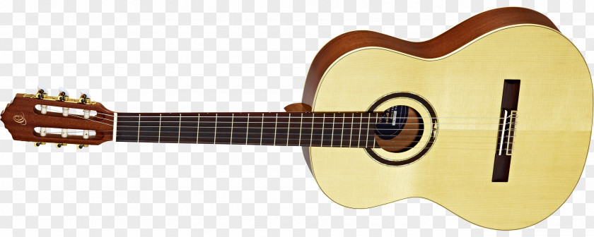 Amancio Ortega Musical Instruments Acoustic Guitar Plucked String Instrument Cavaquinho PNG