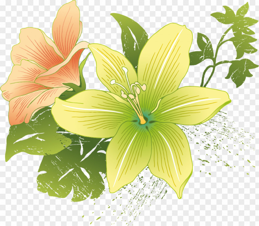 Balcony Flower Lilium Clip Art PNG