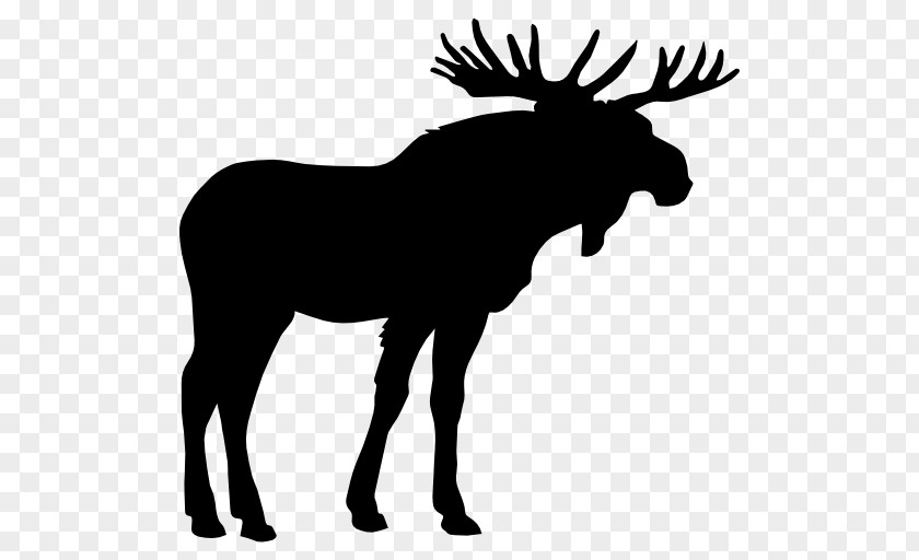 Deer Vector Moose Elk Clip Art PNG