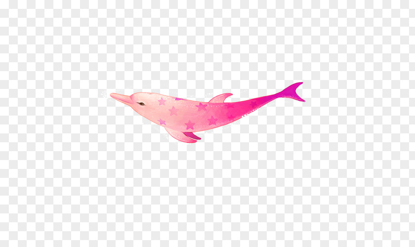 Fish Seabed Euclidean Vector PNG