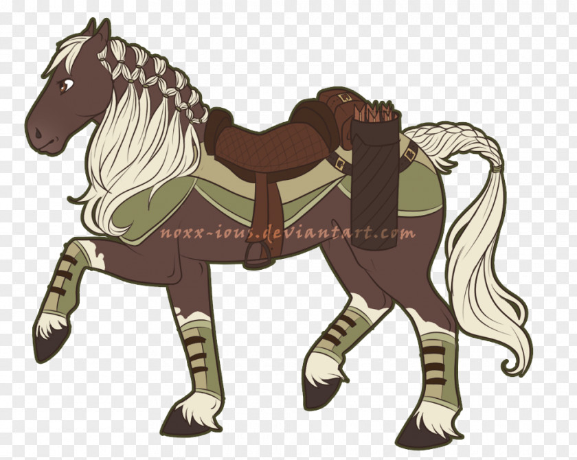 Mustang Pony Foal Halter Stallion PNG