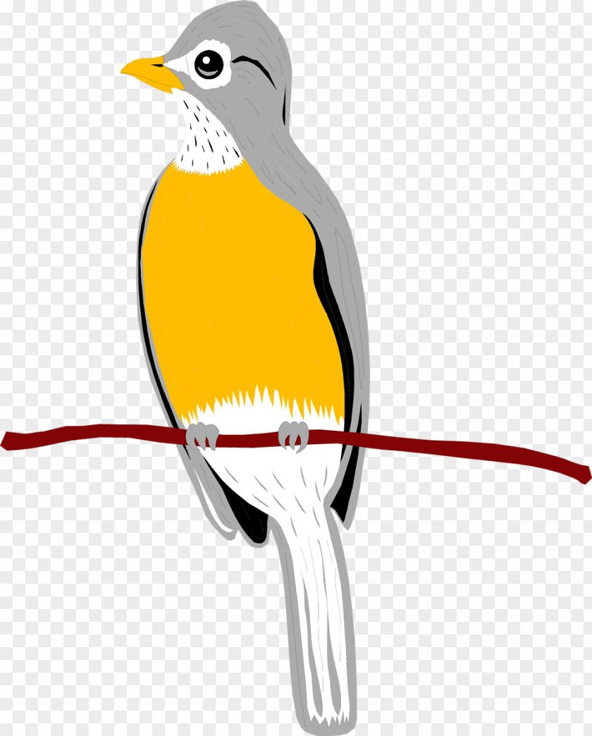 Robin Bird Wing Penguin Clip Art PNG
