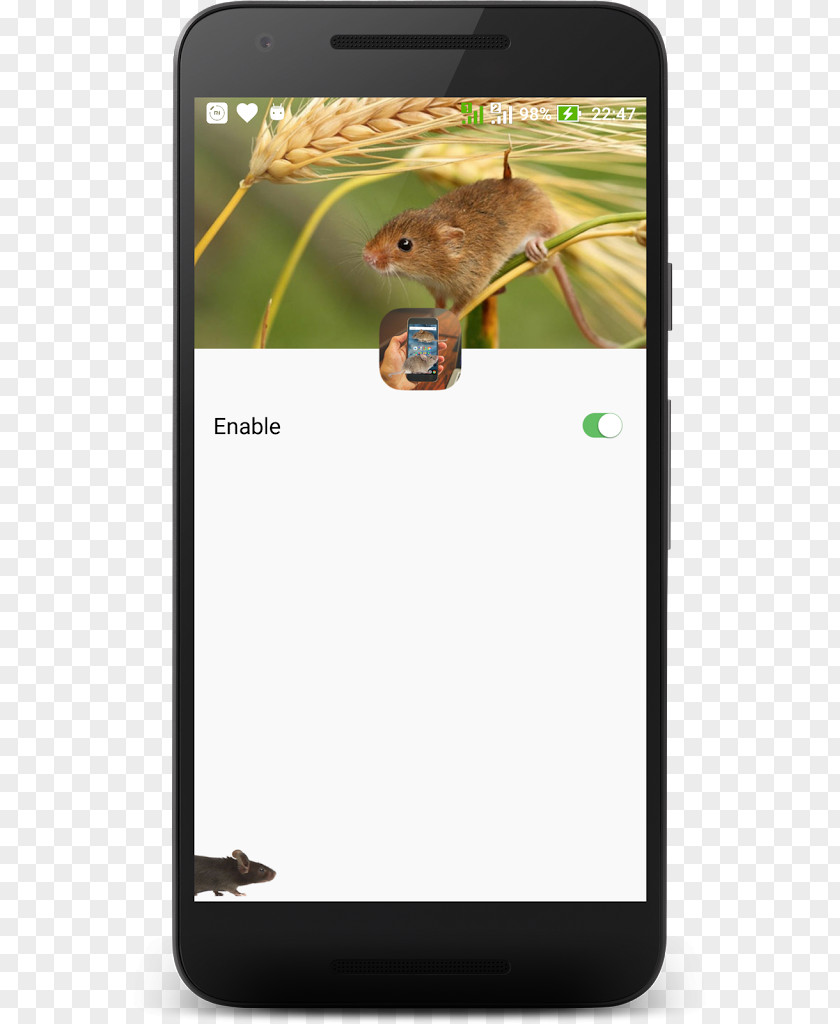 Smartphone Mammal PNG