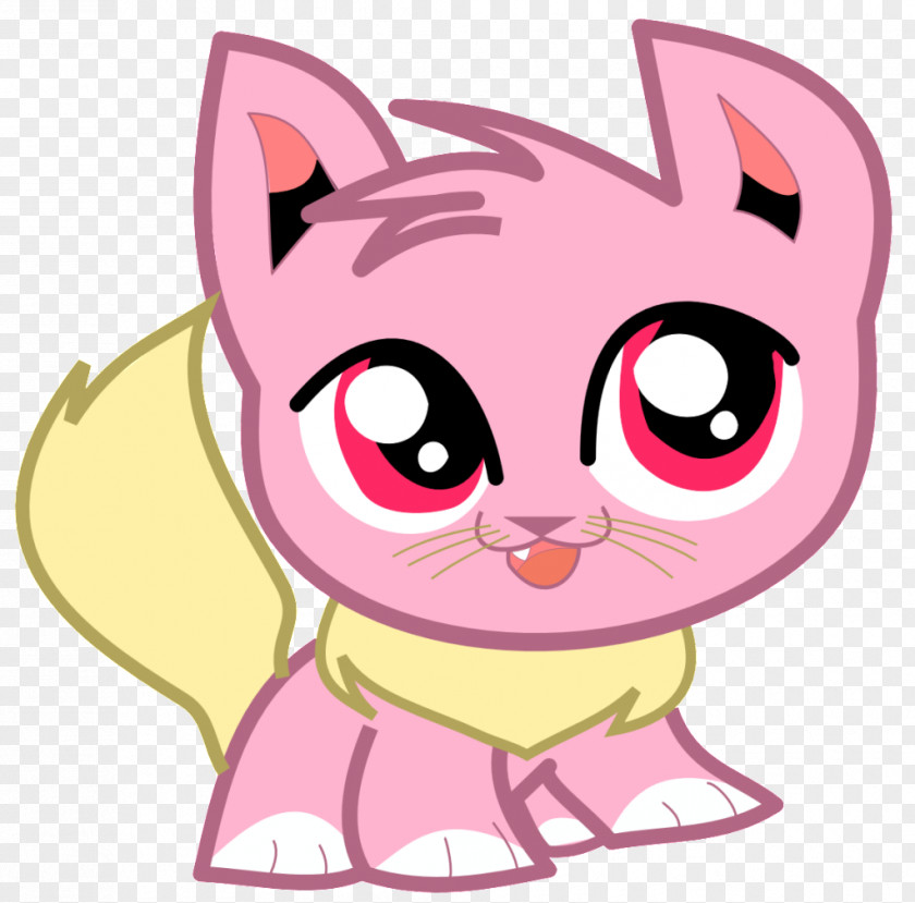 Kitten Whiskers Tabby Cat Snout PNG
