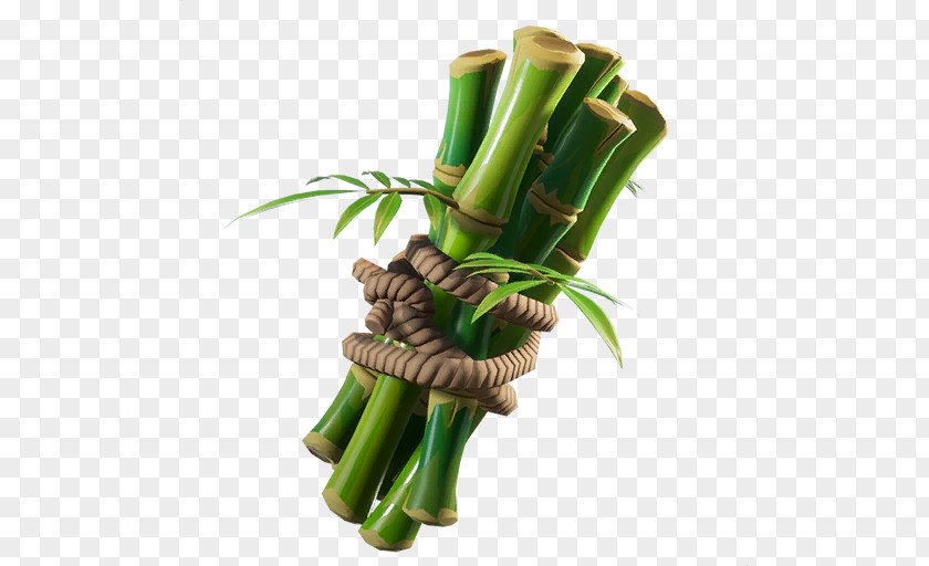Plant Bamboo Vegetable Stem Leek PNG