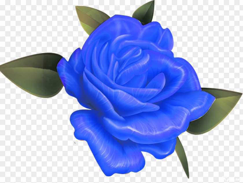 Blue-green Blue Rose Garden Roses Flower PNG