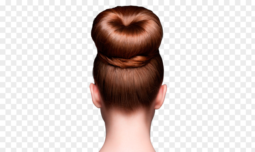 Coiffure Hair Bun Shaper Hairstyle Roller PNG