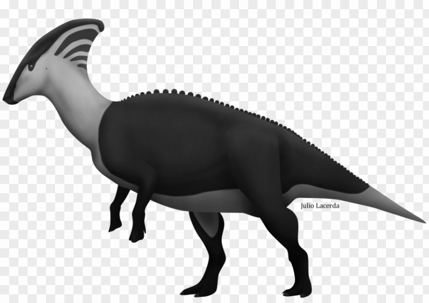Dinosaur Parasaurolophus Troodon Lambeosaurus Rhabdodon PNG