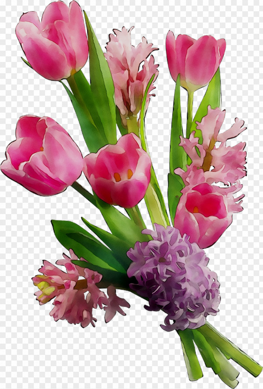 Floral Design Tulip Cut Flowers Pink PNG
