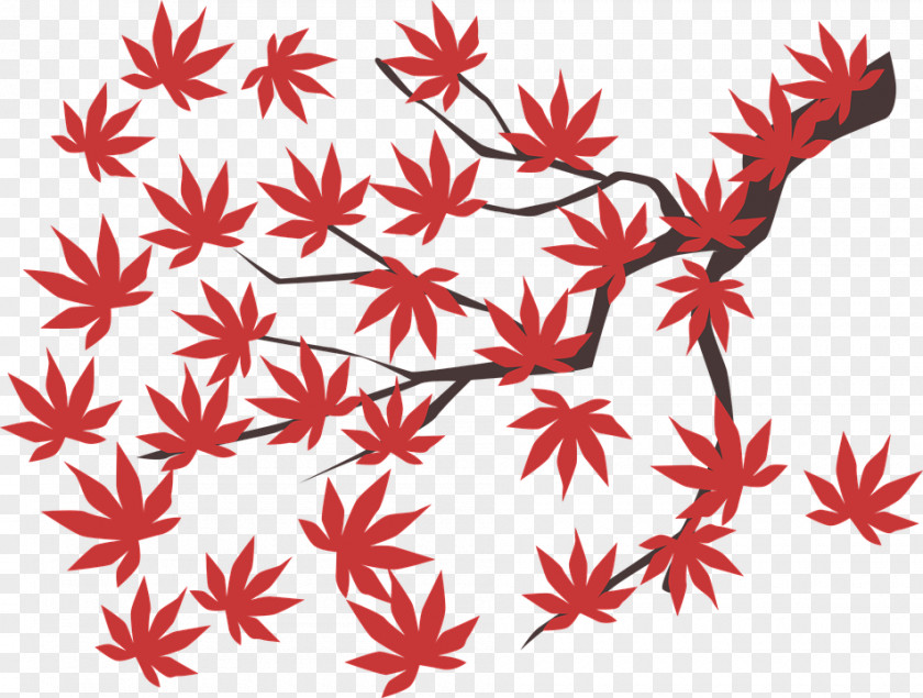 Flower Petal Red Maple Leaf PNG