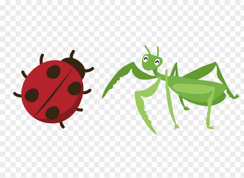 Insect Euclidean Vector Drawing Icon PNG