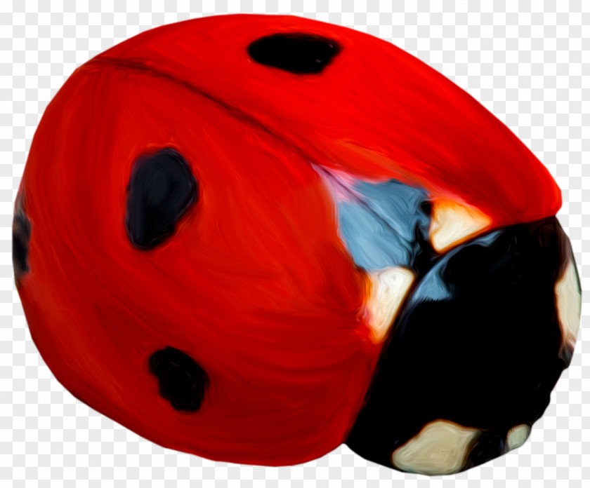 Ladybug Pupa Ladybird Beetle Image Poster JPEG PNG