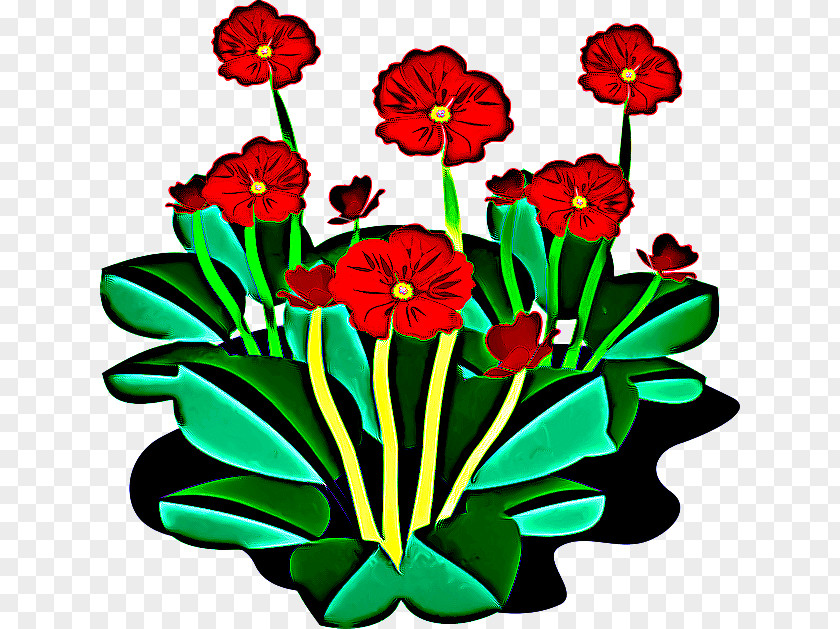 Primula Wildflower Flower Clip Art Plant Petal Flowering PNG