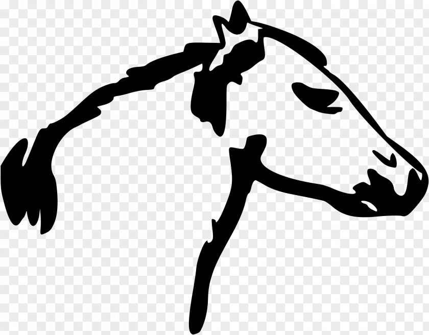 Unicorn Head Horse Lakefield Farm LLC Line PNG