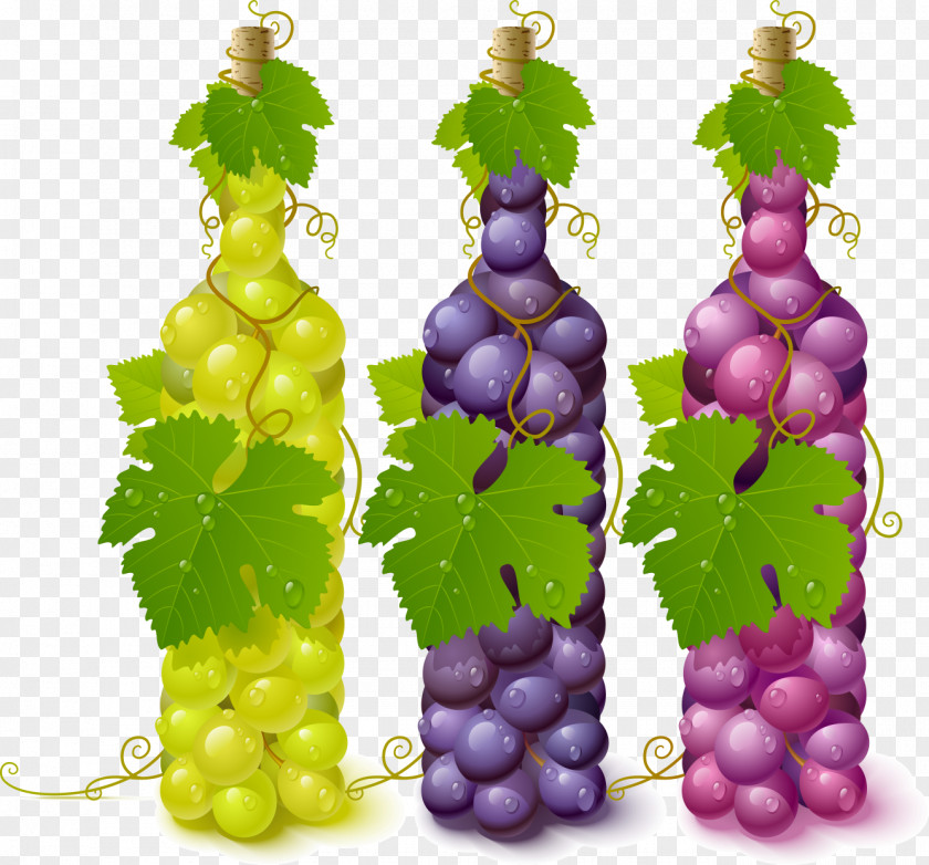 Wine Common Grape Vine Leaves PNG