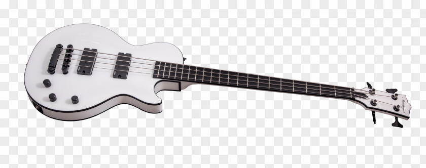 Bass Guitar Acoustic-electric Slide PNG