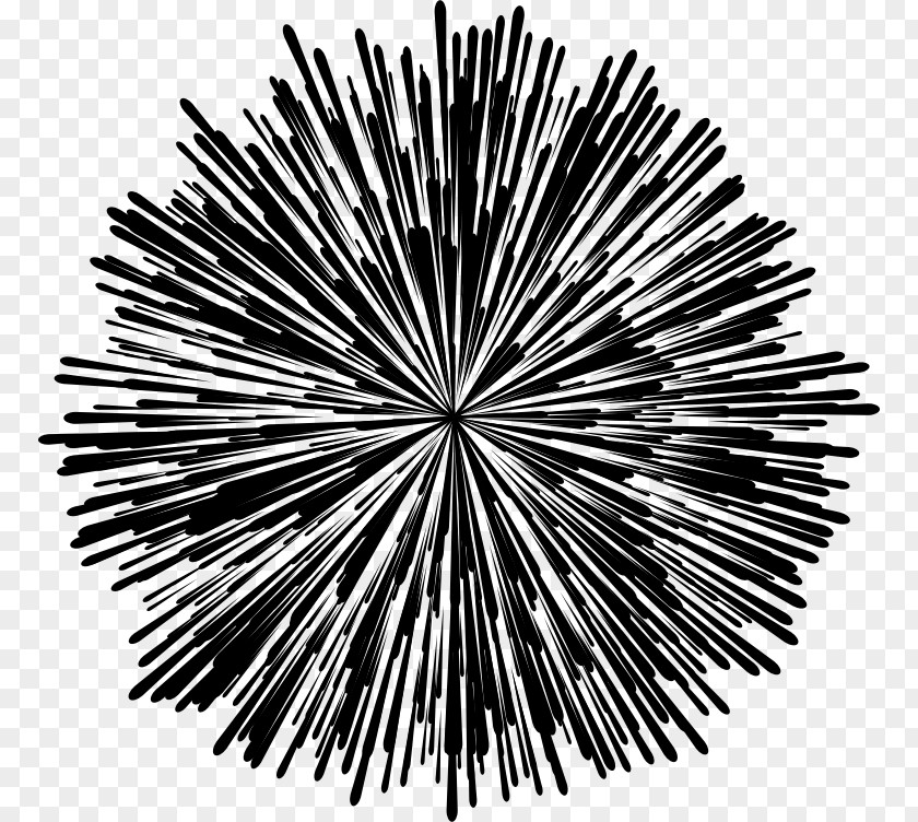 Fireworks Black And White Drawing Clip Art PNG
