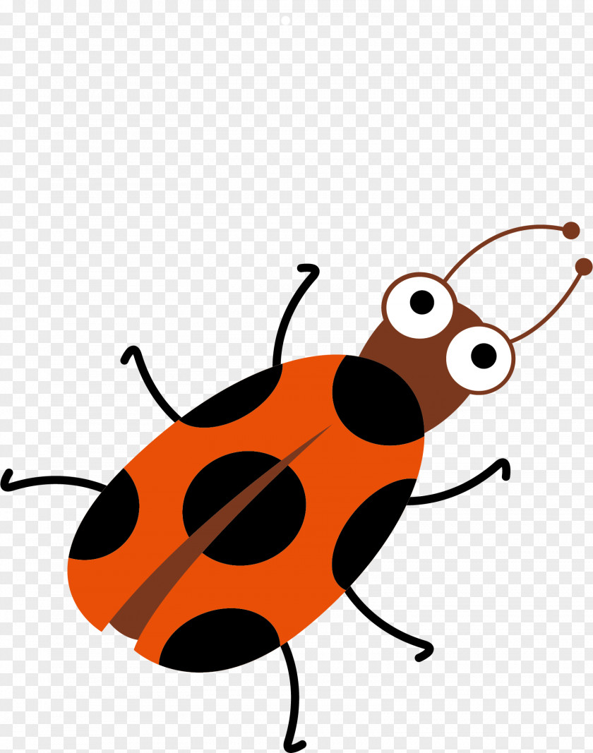 Ladybug Material Picture Ladybird Insect Clip Art PNG