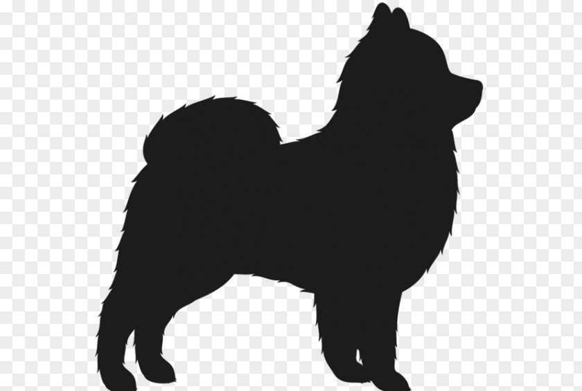 Puppy Pomeranian Finnish Spitz Chow Chihuahua Eurasier PNG