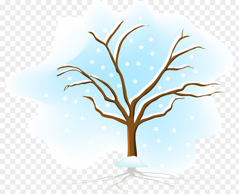 Tree Vector Graphics Season Image PNG