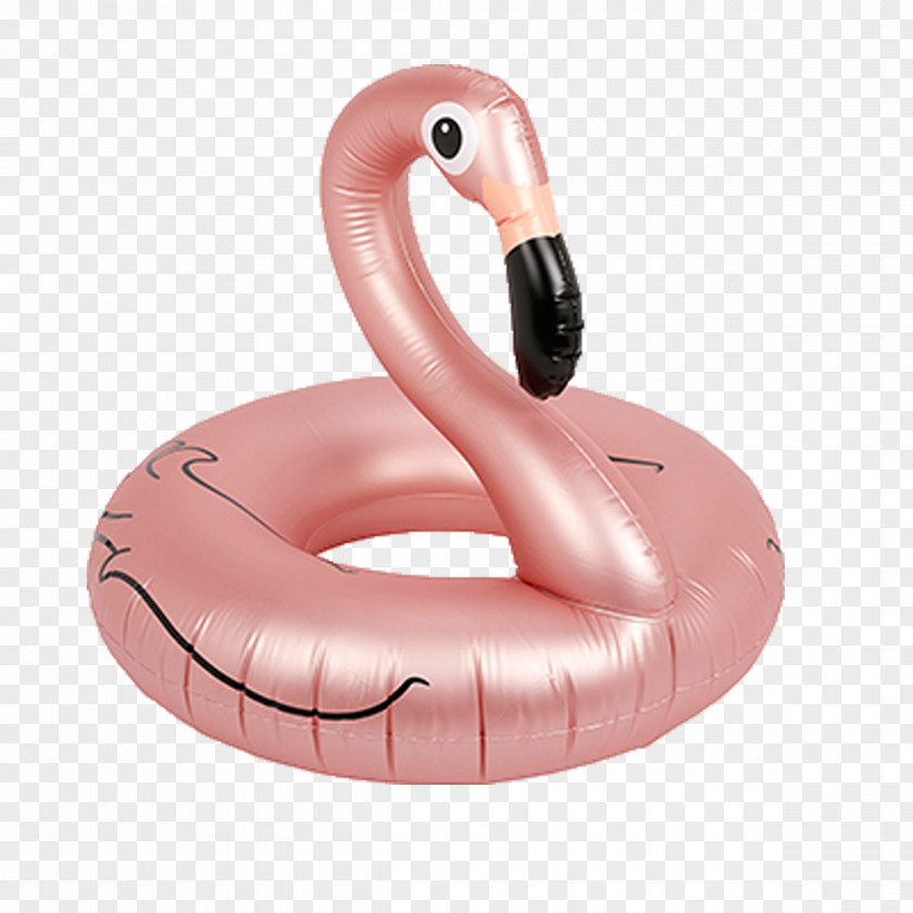 Water Bird Greater Flamingo Inflatable Pink N' Proper PNG