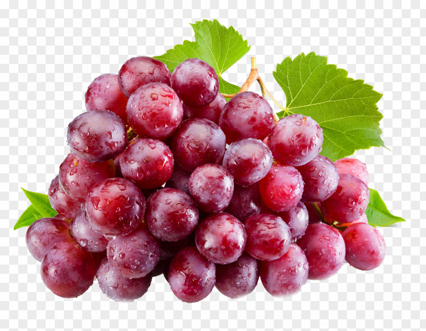 Grape Pattern Juice Isabella Common Vine Table PNG