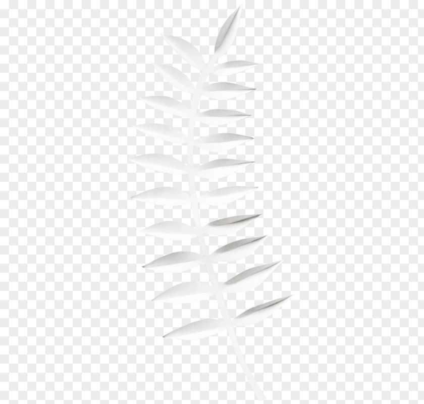 Plant White Leaf Line PNG