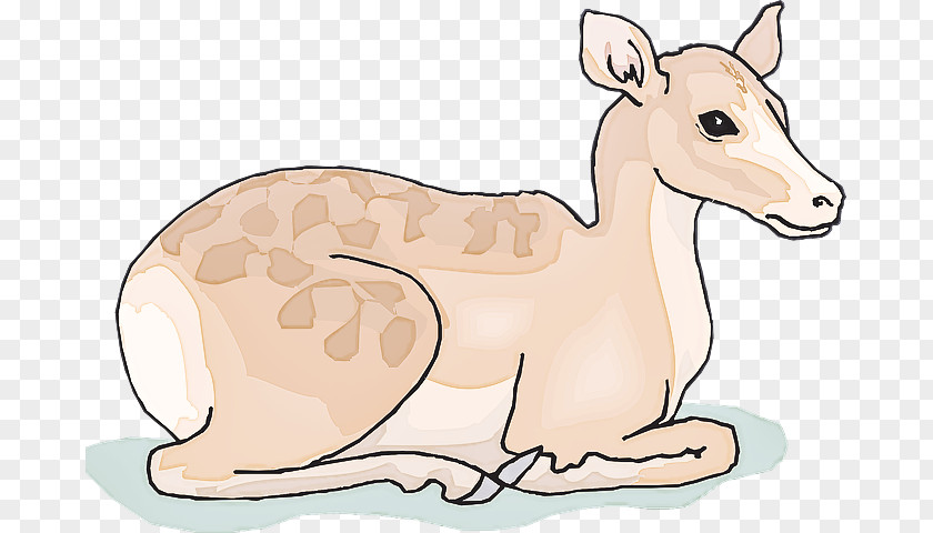 Tail Fawn Clip Art Cartoon Wildlife Animal Figure Terrestrial PNG