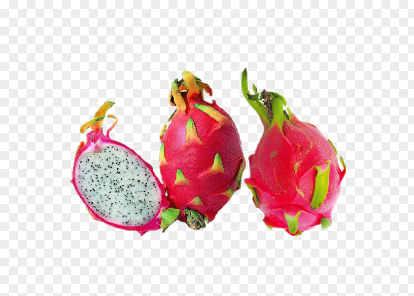 Vegetable Pitaya Fruit Auglis PNG