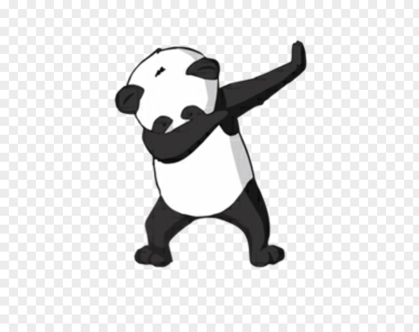 Bear Giant Panda Baby Pandas Desktop Wallpaper PNG