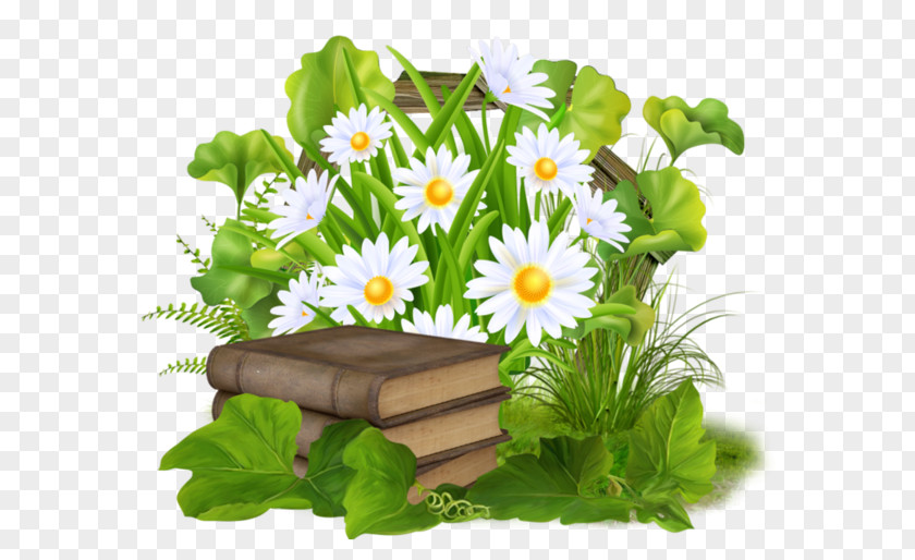 Chrysanthemum And Books Animation Wallpaper PNG