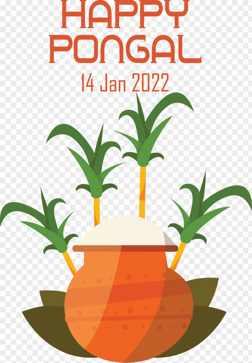 Flower Flowerpot Line Tree Fruit PNG