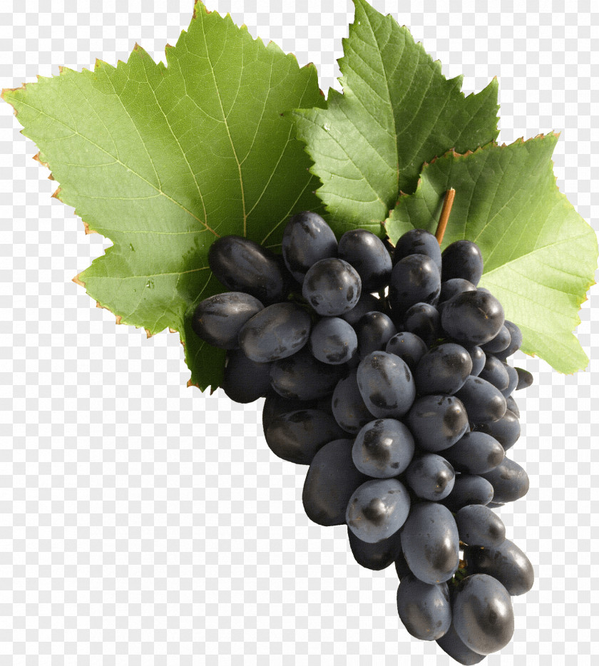 Grape Image Download Picture Common Vine Juice Must PNG