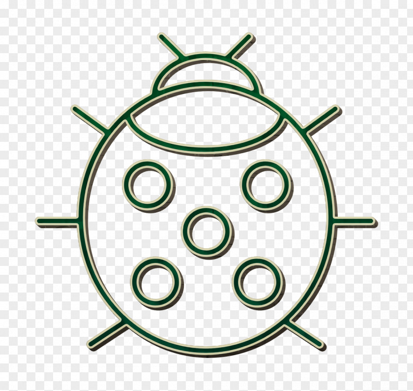 Ladybug Icon Insect Insects PNG
