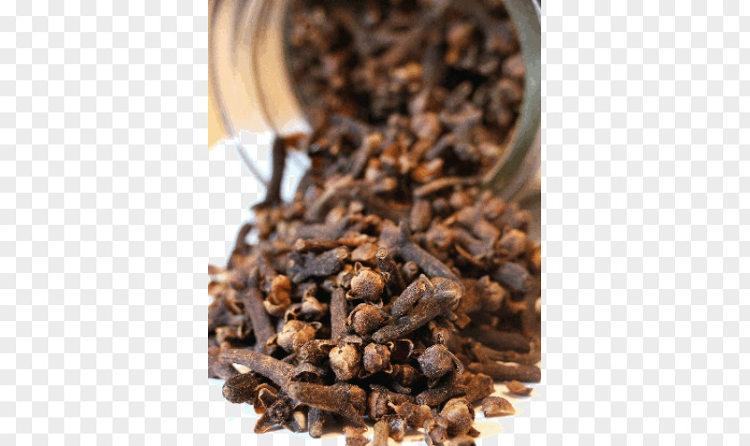 Oil Of Clove Spice Herb Medicinal Plants PNG