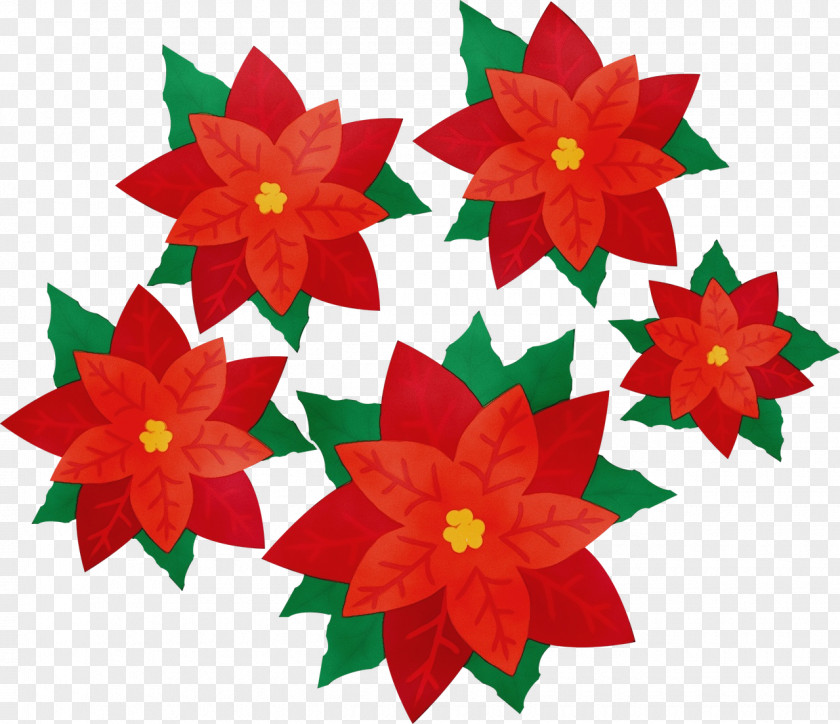 Plant Poinsettia Floral Design PNG