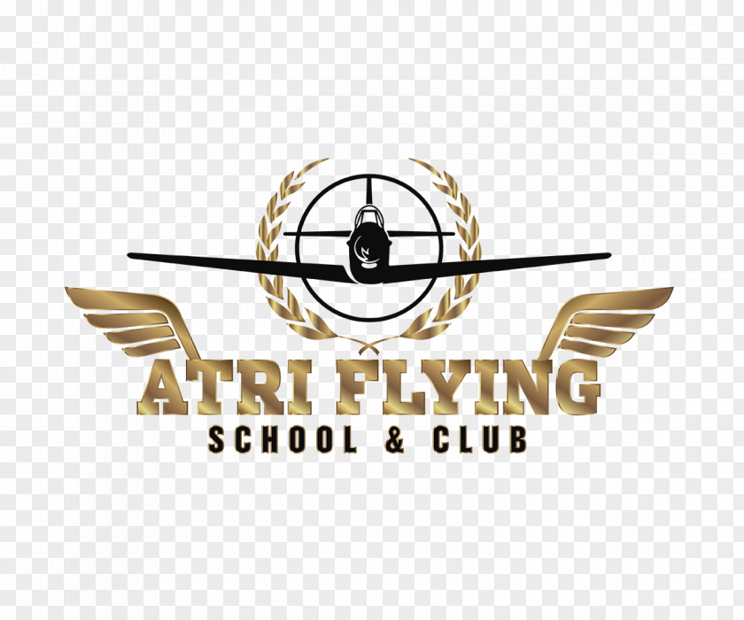 Private Pilot Licence Logo Organization Brand Font PNG