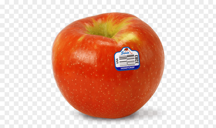Apple McIntosh Red Honeycrisp Nutrition Facts Label Fruit PNG