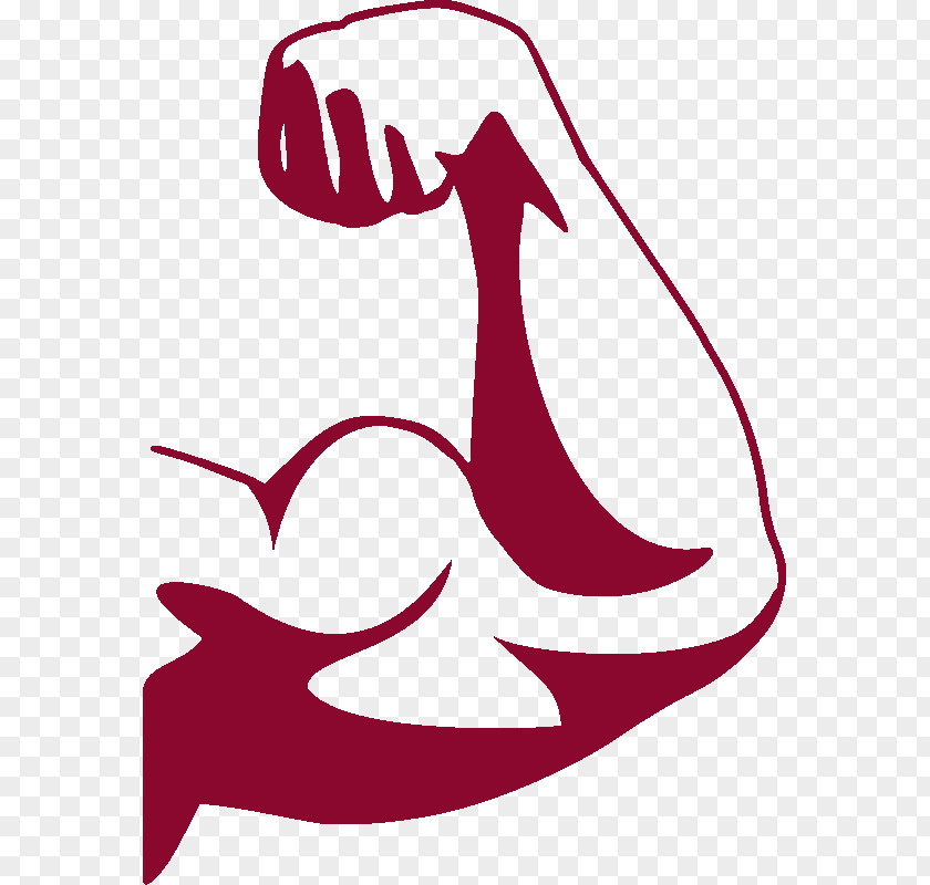 Arm Muscle Arms Clip Art PNG