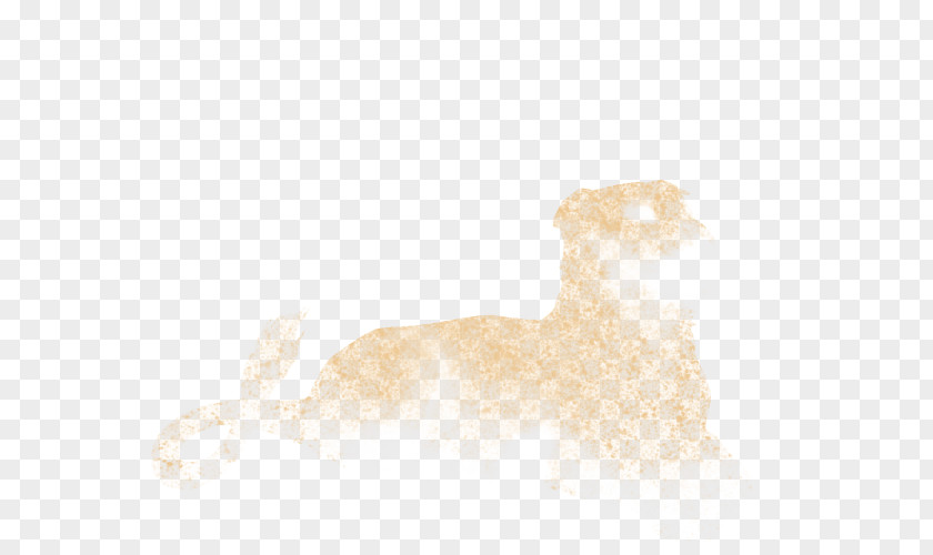Dog Canidae Snout Mammal PNG