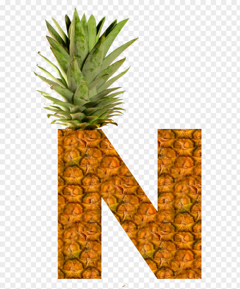 Pineapple Pizza Succade Upside-down Cake Fruit PNG