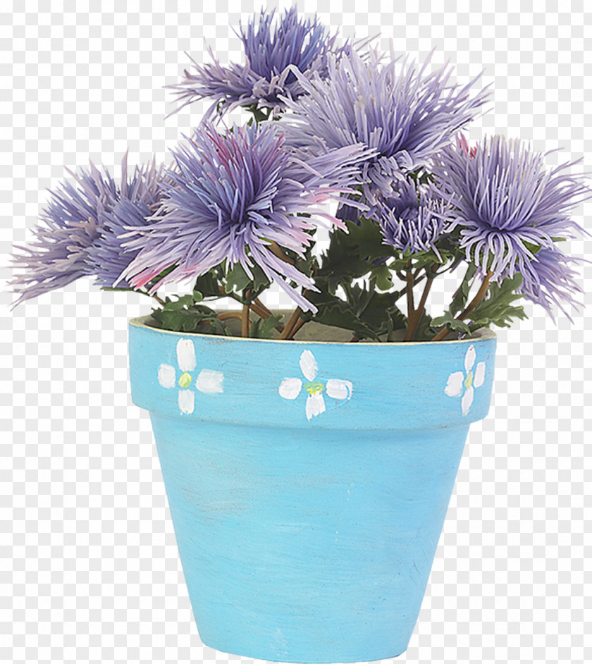 Chrysanthemum Flower Blue PNG