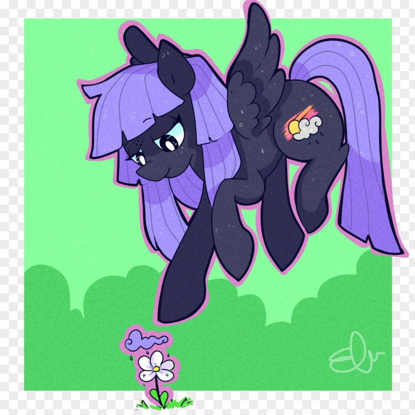 Horse Pony 0 Cartoon PNG