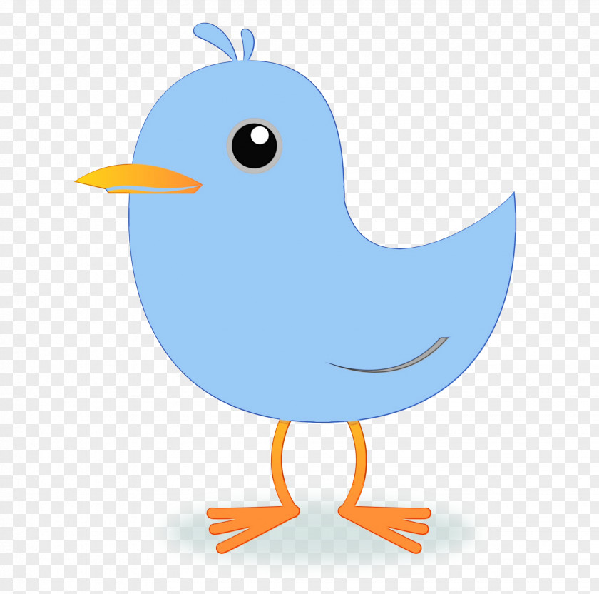 Cartoon Beak Bird Clip Art PNG