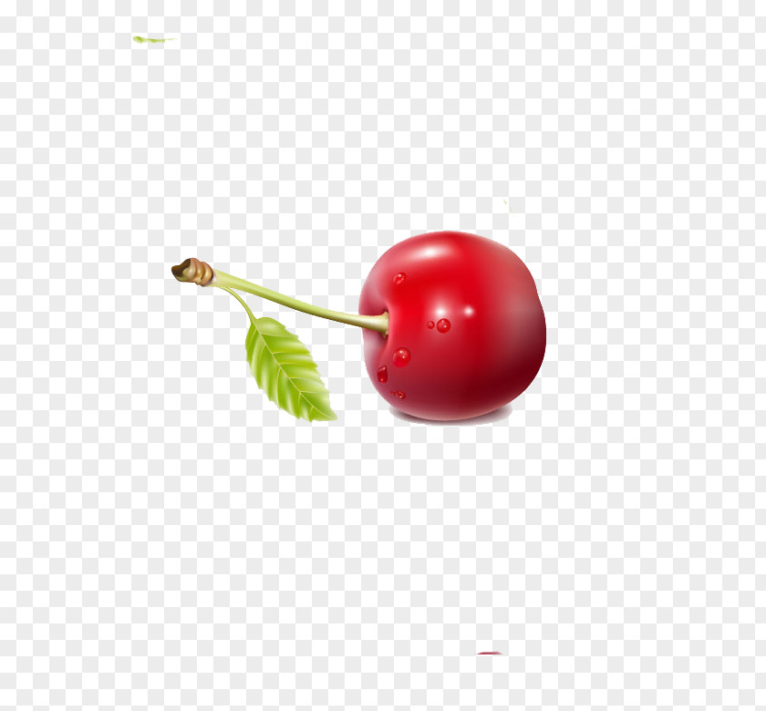 Delicious Cherry Berry Fruit Red PNG