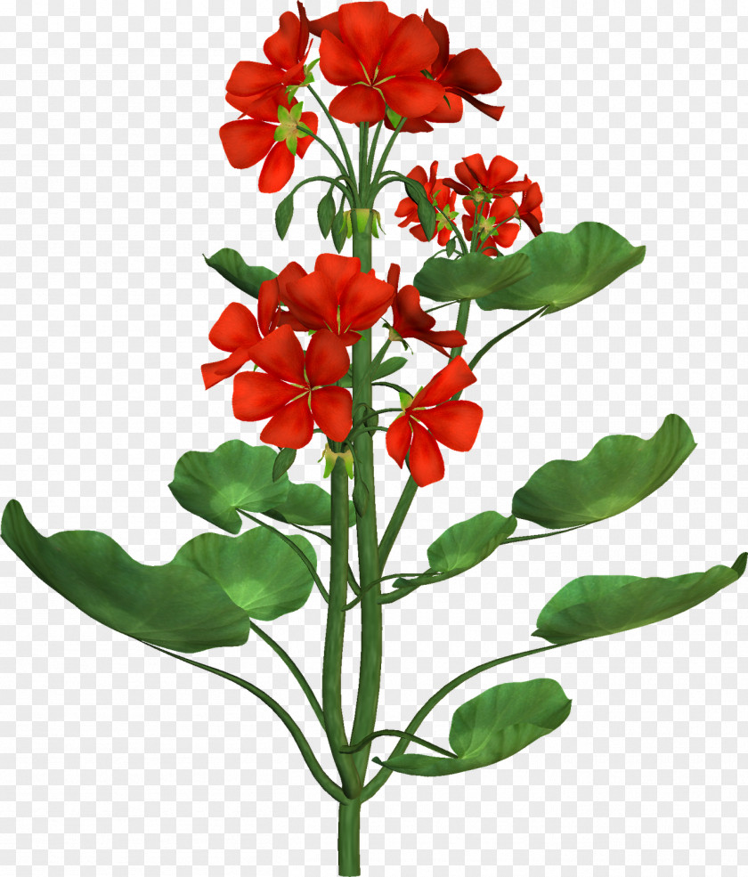 Flower Tree Botanical Illustration Botany Clip Art PNG