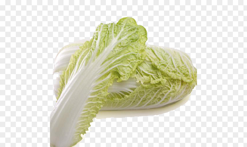 Fresh Cabbage Romaine Lettuce Choy Sum Savoy Chinese Vegetable PNG