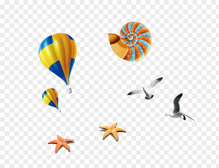 Hot Air Balloon Color Snail Starfish Seagull Orthogastropoda Download Gratis PNG