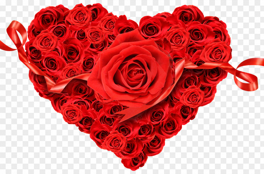 Valentine's Day Rose Stock Photography Heart Desktop Wallpaper PNG