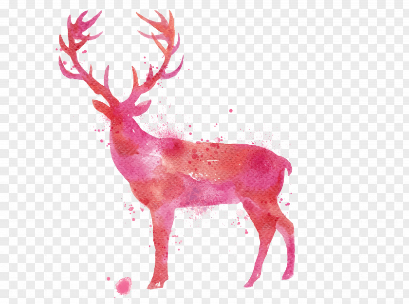 Watercolor Deer Painting Drawing PNG